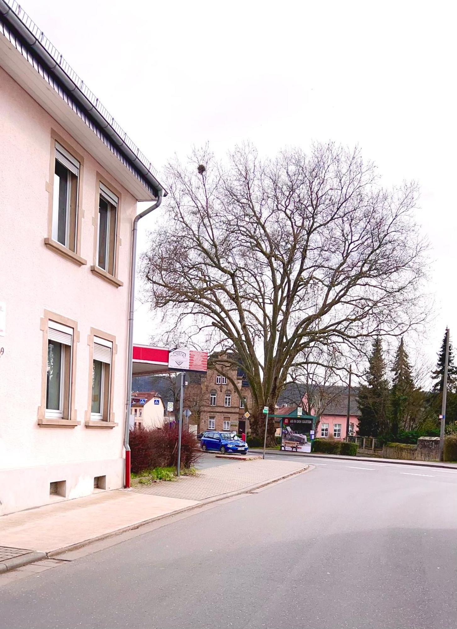 Vinaring Homestay บาด โซเบิร์นไฮม์ ภายนอก รูปภาพ